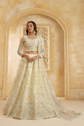 Ivory Color Heavy Embroidered Net Lehenga Choli With Dupatta