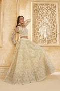 Ivory Color Heavy Embroidered Net Lehenga Choli With Dupatta