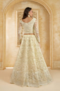 Ivory Color Heavy Embroidered Net Lehenga Choli With Dupatta