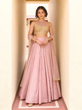 Mira Blush Pink Embellished Lehenga Set