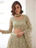 Pista Green Color Heavy Embroidered Net Lehenga Choli With Dupatta