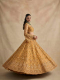 Rust Color Heavy Embroidered Lehenga Choli on Net
