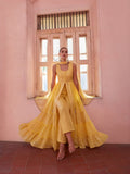 Sunveil Embroidered Festive Gown Set - Alizeh Official
