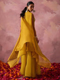 Zareen Khatli Haldi Sharara Set - Alizeh Official