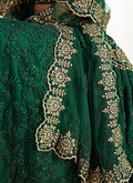 Elegant Lehenga Colour