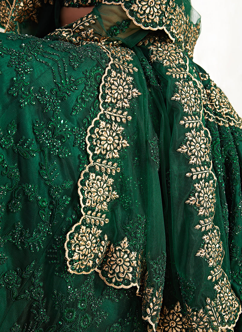Elegant Lehenga Colour